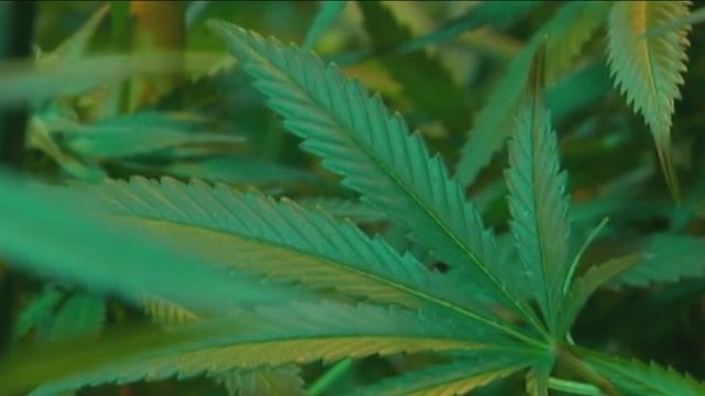 Wisconsin lawmakers work to legalize medical pot, Illinois expunging minor cannabis crimes