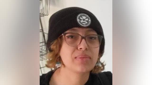 Girl, 15, reported missing from Back of the Yards
