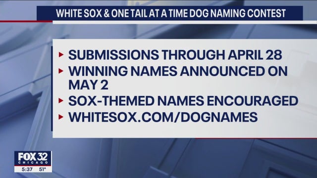 White Sox launch 'Ultimutt Dog Naming Contest' with Lucas Giolito as top judge