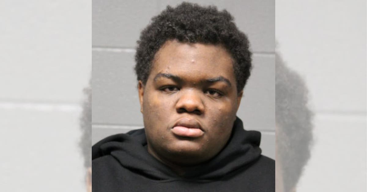 2 charged with robbing man on CTA Red Line train: police | FOX 32 Chicago