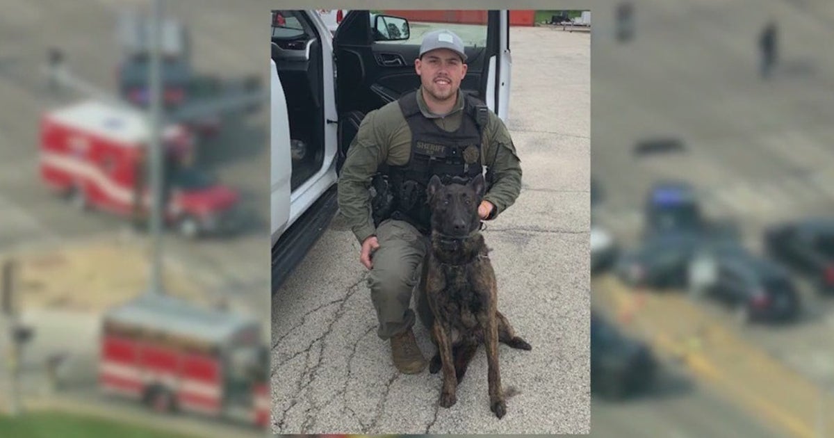 Offender dead, K-9 officer killed in the line of duty after 'exchange ...