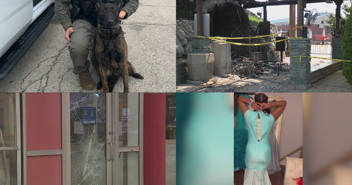 Arlington Heights woman charged with arson • botched prom dresses • K-9 ...