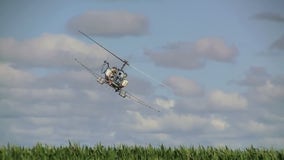 Aerial spraying to combat 'Spongy Moth Caterpillars' begins in Chicago suburb