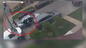 'I don't even want to live here anymore': Armed Chicago robbers wreak havoc in 30 minutes