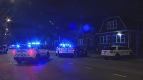 Illinois lawmakers approve hotline for tracking stolen cars to combat rising crime