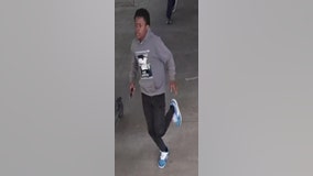 Chicago police seek man who robbed woman aboard CTA Green Line train