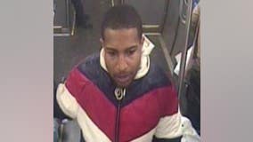 Man wanted for strong-armed robbery near CTA Red Line