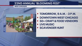 West Chicago's Blooming Fest: Plants, crafts, and family fun