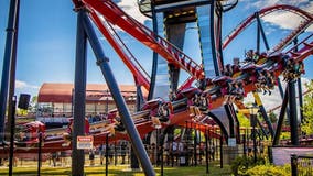 Six Flags Great America brawl: 6 teens arrested for fighting patrons, police in Gurnee