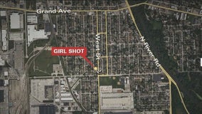 Girl, 4, dies after another child accidentally shoots her in Cook County residence