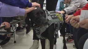 Vernon Hills students' essays lead to emotional support dog in police department