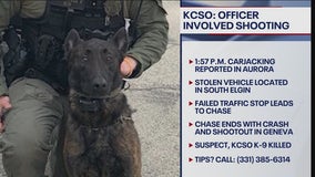 Witnesses sought after police chase, shootout in Kane County ends with K9 officer and suspect dead
