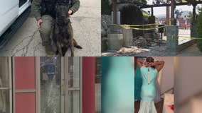 Arlington Heights woman charged with arson • botched prom dresses • K-9 officer killed in the line of duty