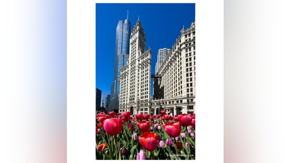 Be patient Chicago because 70s and 80s are finally back in the forecast