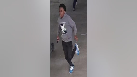 Chicago police seek man who robbed woman aboard CTA Green Line train