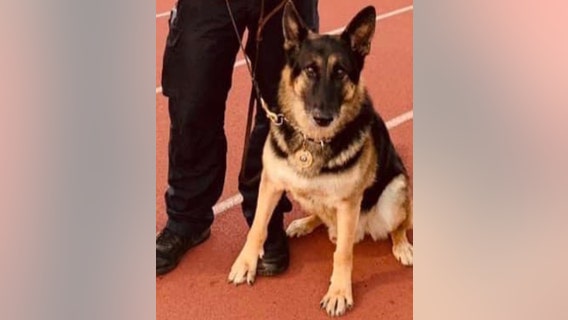 Burbank police mourn the loss of retired K9 Lary