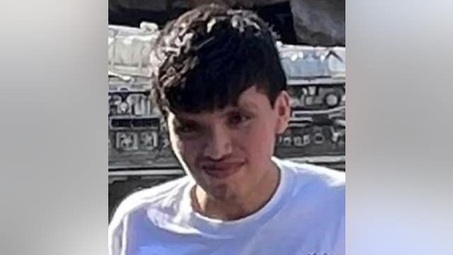 Bryan Mendoza: Man, 20, reported missing from Chicago's Noble Square