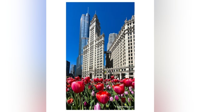 Be patient Chicago because 70s and 80s are finally back in the forecast