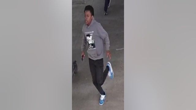 Chicago police seek man who robbed woman aboard CTA Green Line train