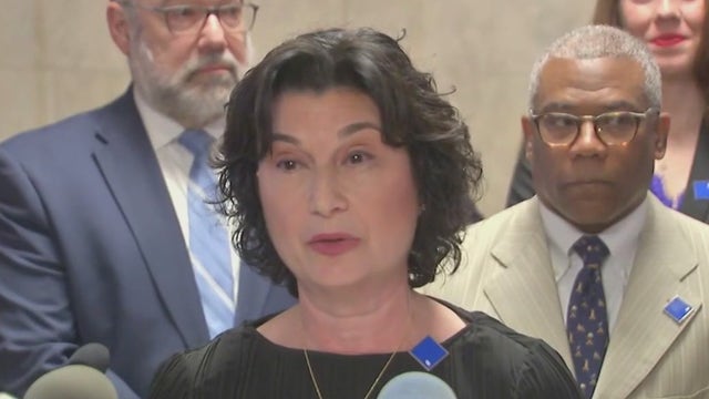 Alderperson's resolution condemning attack on Israel gets pushback from mayoral ally