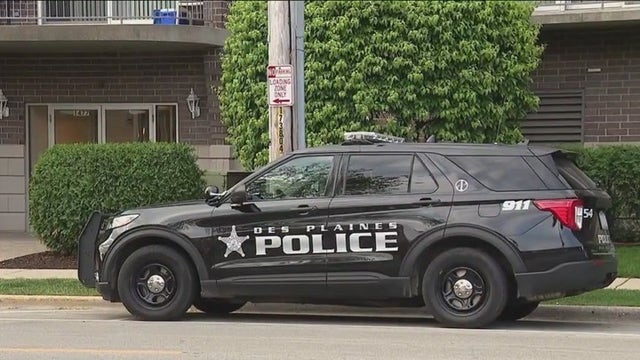 Homicide investigation launched after man found shot to death in Des Plaines
