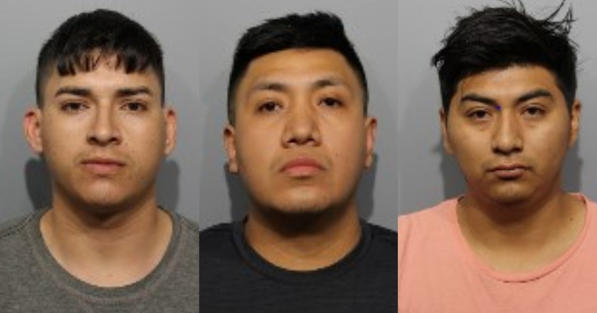 Cook County men beat victim with baseball bat, leaving him with ...