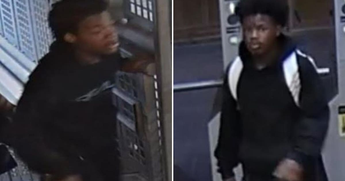 Chicago police seek suspects in CTA Brown Line robbery in the Loop ...