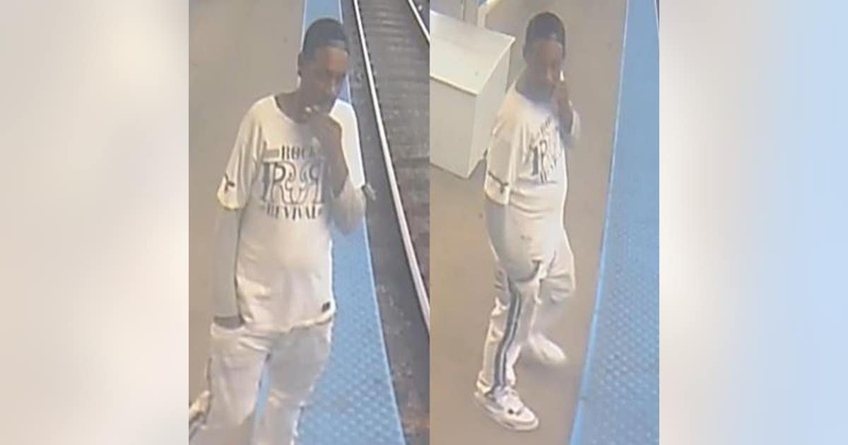 Chicago police seeking to identify man accused of stealing from CTA ...
