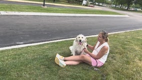 Schaumburg Corporate Center unveils Chicago area's first private dog park