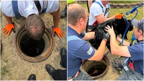 Crews rescue dog that got stuck in New Lenox manhole