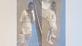 Chicago police seeking to identify man accused of stealing from CTA employee