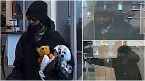 FBI seeks 'Stuffed Bear Bandit' involved in violent Chicago bank robbery