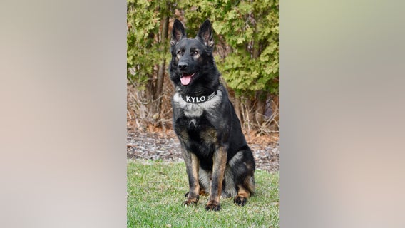 McHenry County K9 praised for heroic capture of home invasion suspect