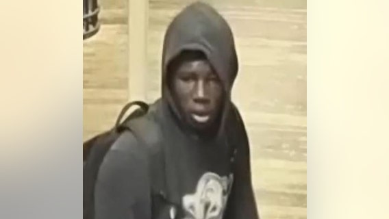 Man wanted for attempting to rob 70-year-old on CTA Green Line