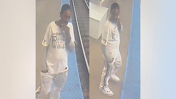 Chicago police seeking to identify man accused of stealing from CTA employee