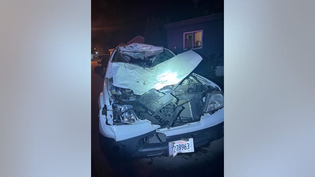 Driver charged after fatally striking 2 horses in Lake County