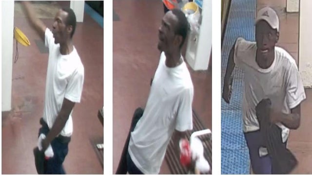Man robbed 68-year-old victim at Blue Line station: police