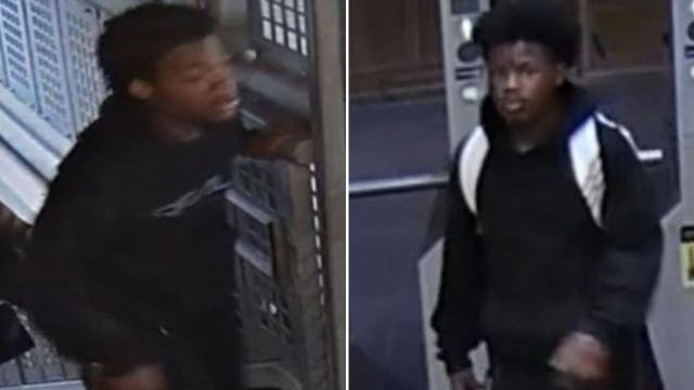 Chicago police seek suspects in CTA Brown Line robbery in the Loop