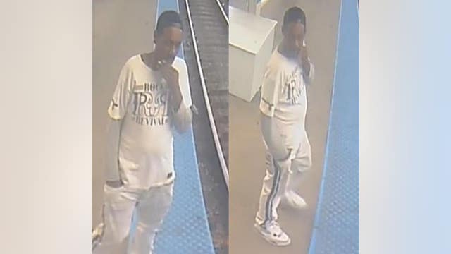 Chicago police seeking to identify man accused of stealing from CTA employee