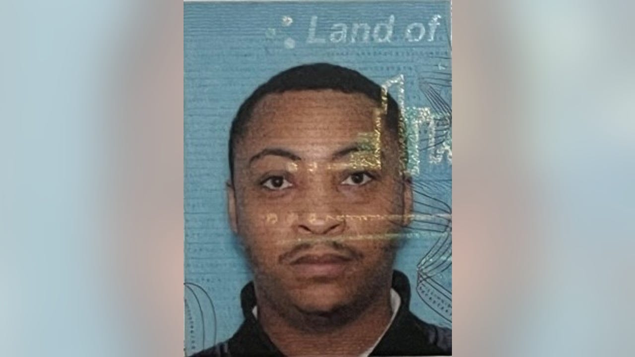 Chicago police arrest man accused of setting girlfriend on fire in Wisconsin - Vimarsana News