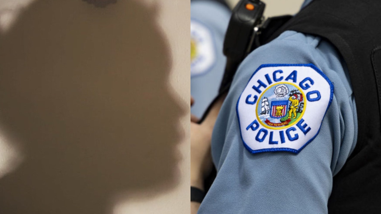 New Illinois law allows non-citizens to become police officers