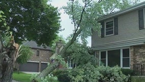 At least 4 tornadoes hit Chicago's suburbs Friday night
