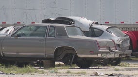 Illegal towing operation exposed in Harvey, dozens of vehicles seized in raid