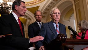 GOP leader McConnell freezes during news conference at Capitol