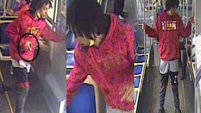 Chicago police seek help identifying suspect in CTA Pink Line robbery