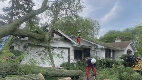 Illinois weather: Tree damages garage, lightning strike starts apartment fire