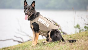 Lake County Sheriff's K9s receive new donated body armor