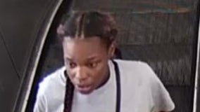 Woman allegedly stole victim's cell phone at CTA Green Line stop: police