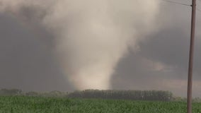 Illinois tops the nation with 119 tornadoes reported this year