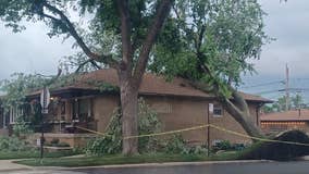 Storm takes down trees in Chicago's East Side neighborhood